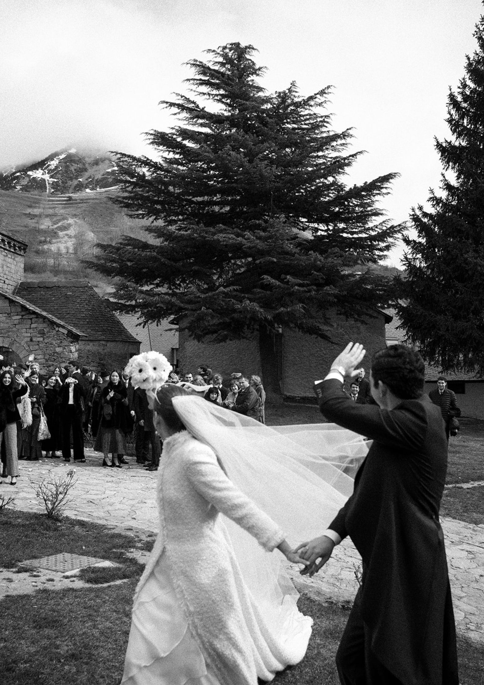 The Wedding Club