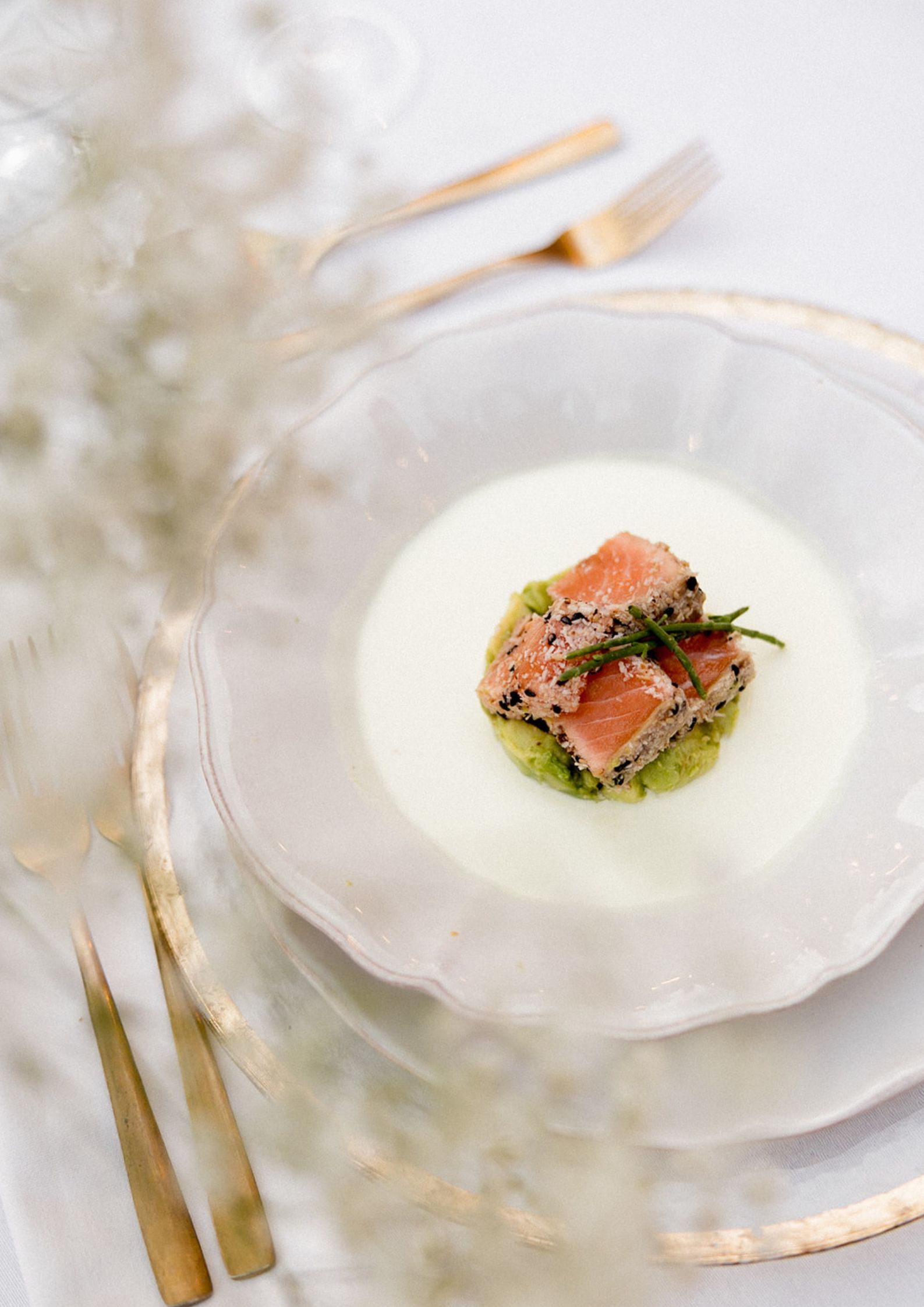 Gourmet Catering & Eventos