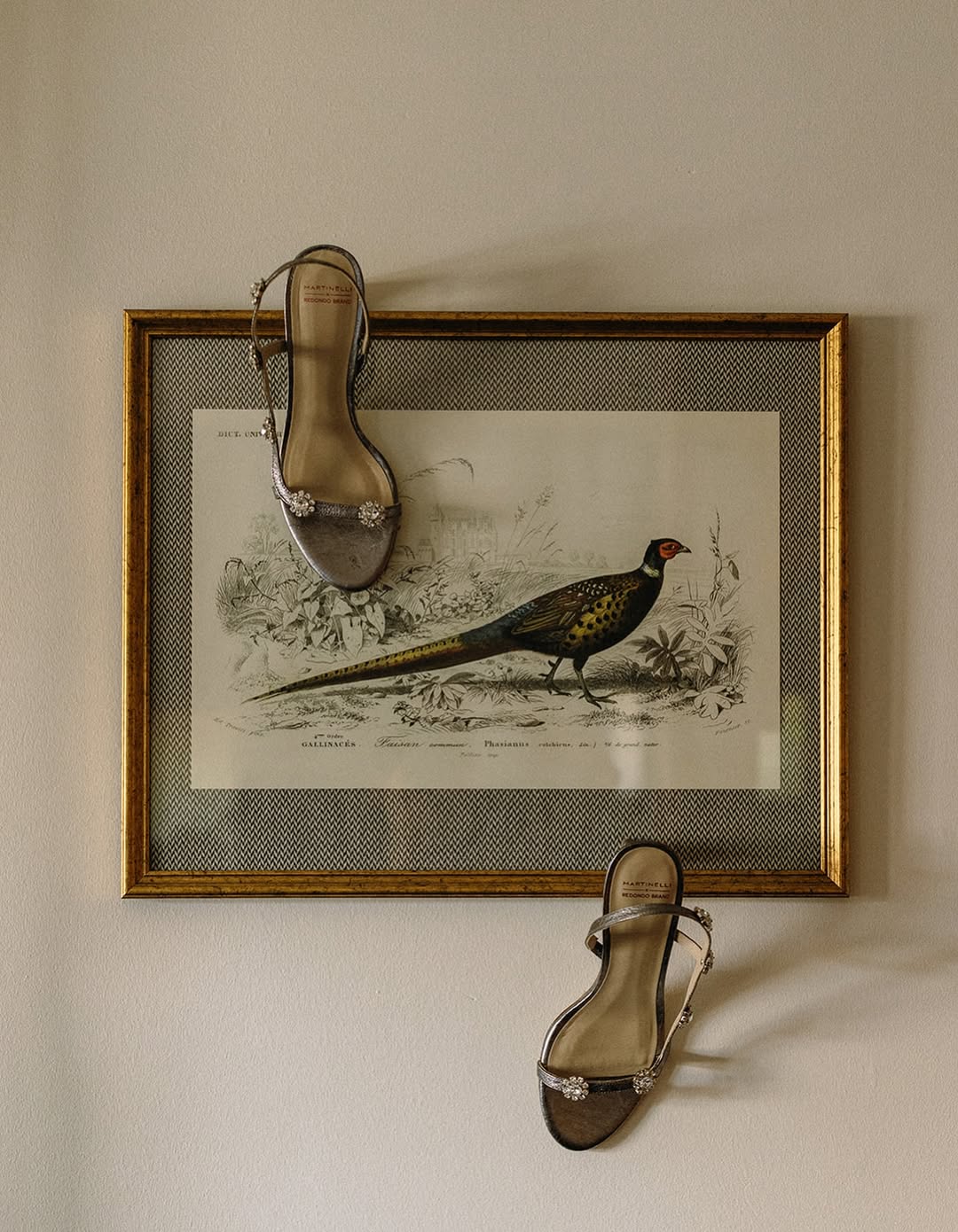 Martinelli 